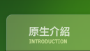 台東原生應用植物園