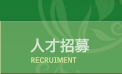 人才招募 人才招募